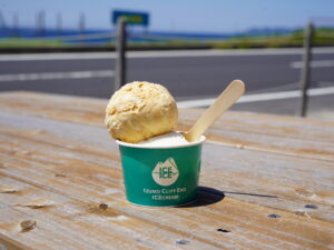 Izumo Ice cream 002