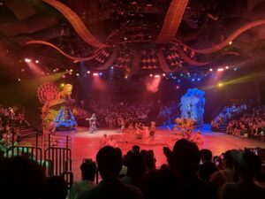 HK Disney show