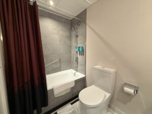 HK Disney park hotel room bath room